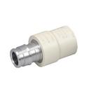 1/2 in. F1960 CPVC and Stainless Steel Coupling