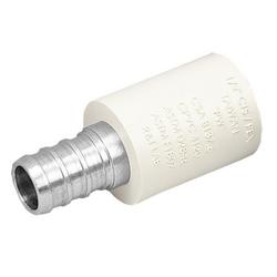 1/2 in. F1807 CPVC and Stainless Steel Coupling