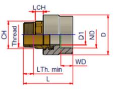 1-1/4 in. MPT x Socket Fusion PP-RCT Adapter