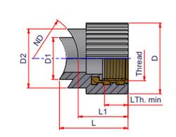 24 x 1 in. Socket Fusion x FPT PP-RCT Adapter