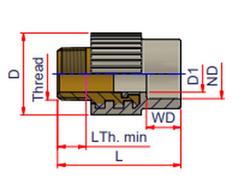 1/2 in. Socket Fusion x MPT Brass PP-RCT Adapter in Grey