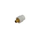 NIRON CLIMA Socket Weld Brass Adapter 