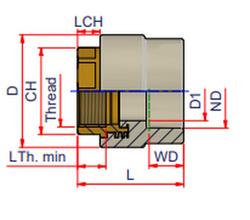 2 in. Socket Fusion x FPT Brass PP-RCT Adapter in Grey