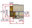 3 in. FPT x Socket Fusion PP-RCT Adapter