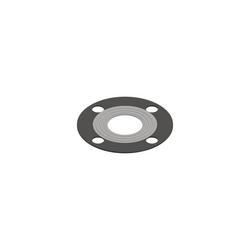 4 in. Rubber Gasket