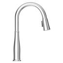 Pfister Polished Chrome Single Handle Pull Down Kitchen Faucet 