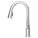 Pfister Polished Chrome Single Handle Pull Down Kitchen Faucet 