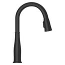 Pfister Tuscan Brass Single Handle Pull Down Kitchen Faucet 