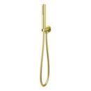 Single Function Hand Shower in Brushed Gold