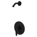 Pfister Matte Black Single Handle Shower Faucet (Trim Only) 