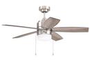 44 in. 5-Blade Ceiling Fan 2-Light in Brushed Nickel