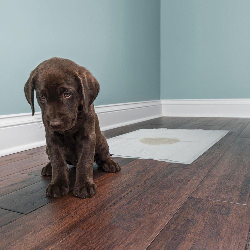 Quick Dam White 2 x 2 ft. Polymer Quick Dam Drip Mat (Case of 100) 