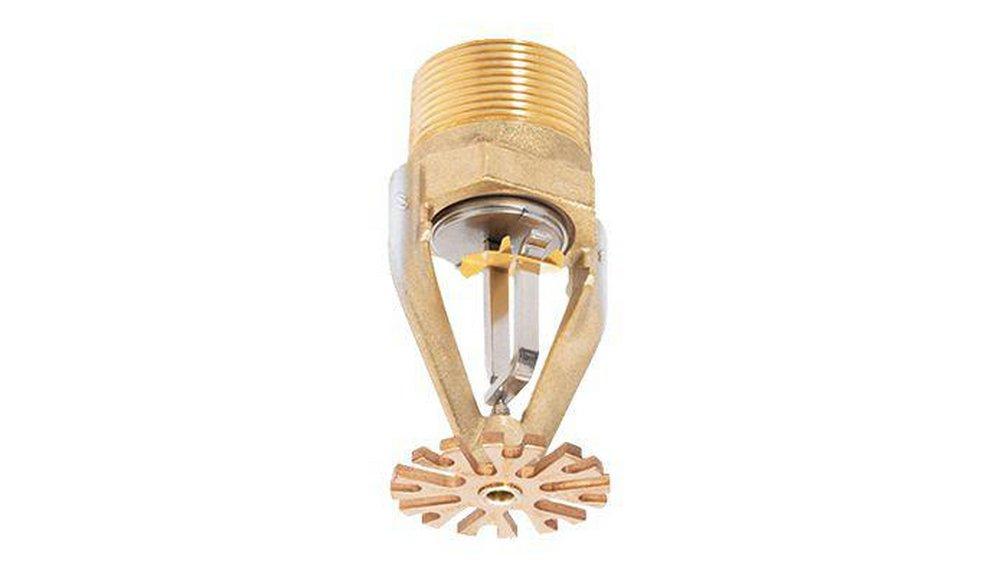 Tyco Natural Brass 1-1/4 in. 33.6K Quick Response Sprinkler Head in Natural Brass 