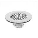 1 in. Flat Top Strainer with Brass Body in Stainless Steel