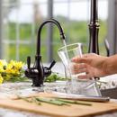 InSinkErator® Polished Nickel Hot and Cold Water Dispenser 