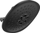 Multi Function Showerhead in Matte Black