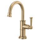 Brizo Luxe Gold Single Handle Kitchen Faucet 