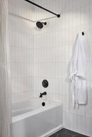Delta Faucet Matte Black 2-Hook Robe Hook 