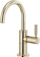1.0 gpm Hot Water Dispenser in Polished Nickel 