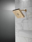 Delta Faucet Champagne Bronze Multi Function Rain Showerhead 