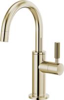 Brizo Polished Nickel Cold Only Water Dispenser 