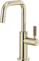 Brizo Polished Nickel Cold Only Water Dispenser 