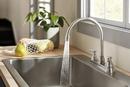 Peerless&reg; Stainless Two Handle Kitchen Faucet 