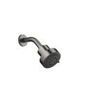 Multi Function Showerhead in Brushed Dark Platinum