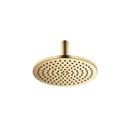 Single Function Showerhead in Brushed Durabrass