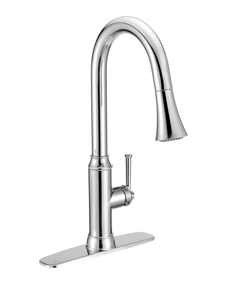 PROFLO&reg; Polished Chrome Single Handle Pull Out Kitchen Faucet 