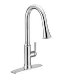 PROFLO&reg; Polished Chrome Single Handle Pull Out Kitchen Faucet 