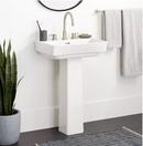 23 x 18 in. Pedestal Sink in White