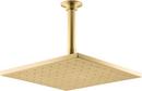 KOHLER Vibrant&reg; Brushed Moderne Brass Single Function Rain Showerhead 