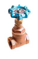 American Valve Brass Full Port FNPT Gate Valve 
