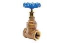 American Valve Brass Full Port FNPT Gate Valve 