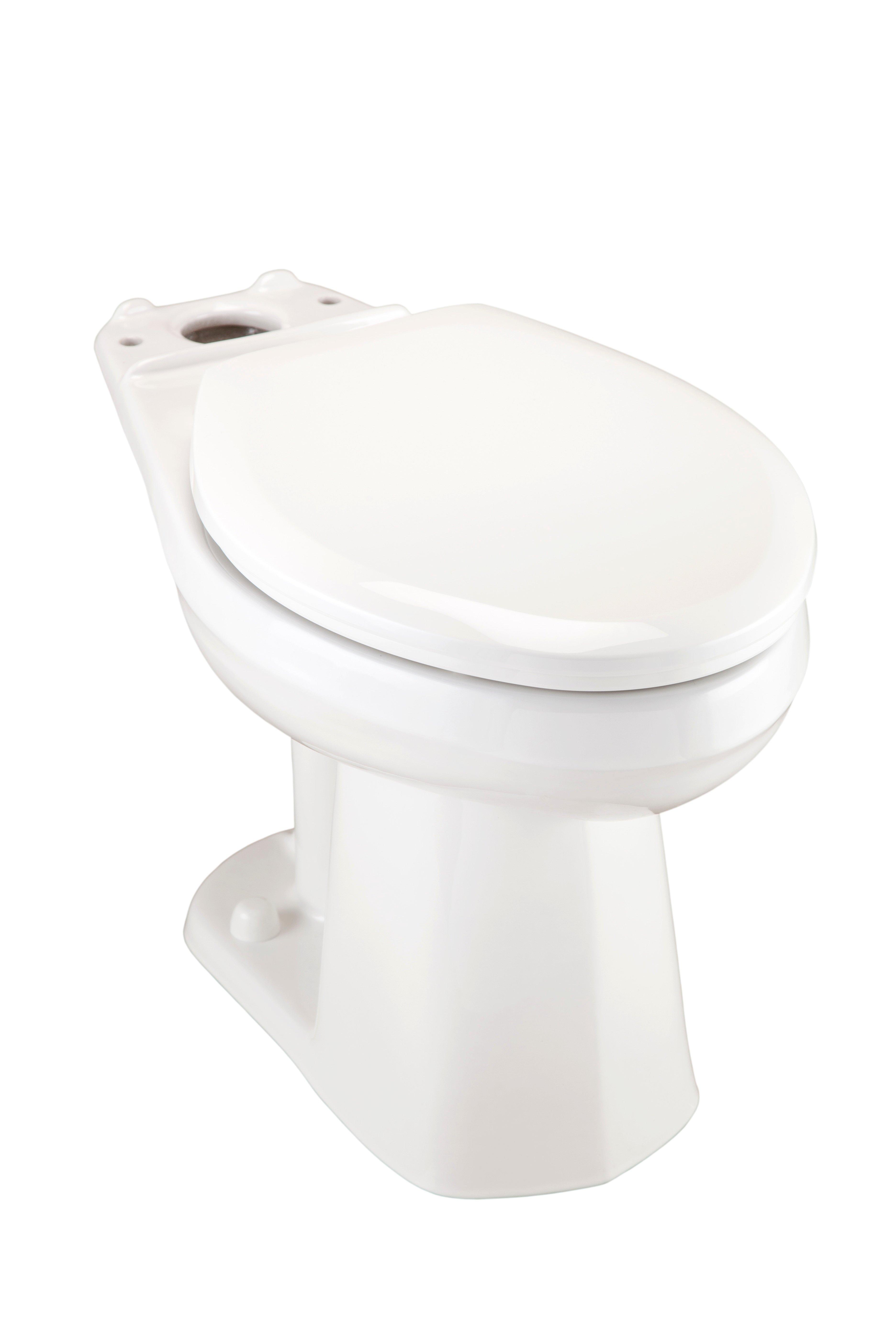 Elongated Toilet Bowl in White 