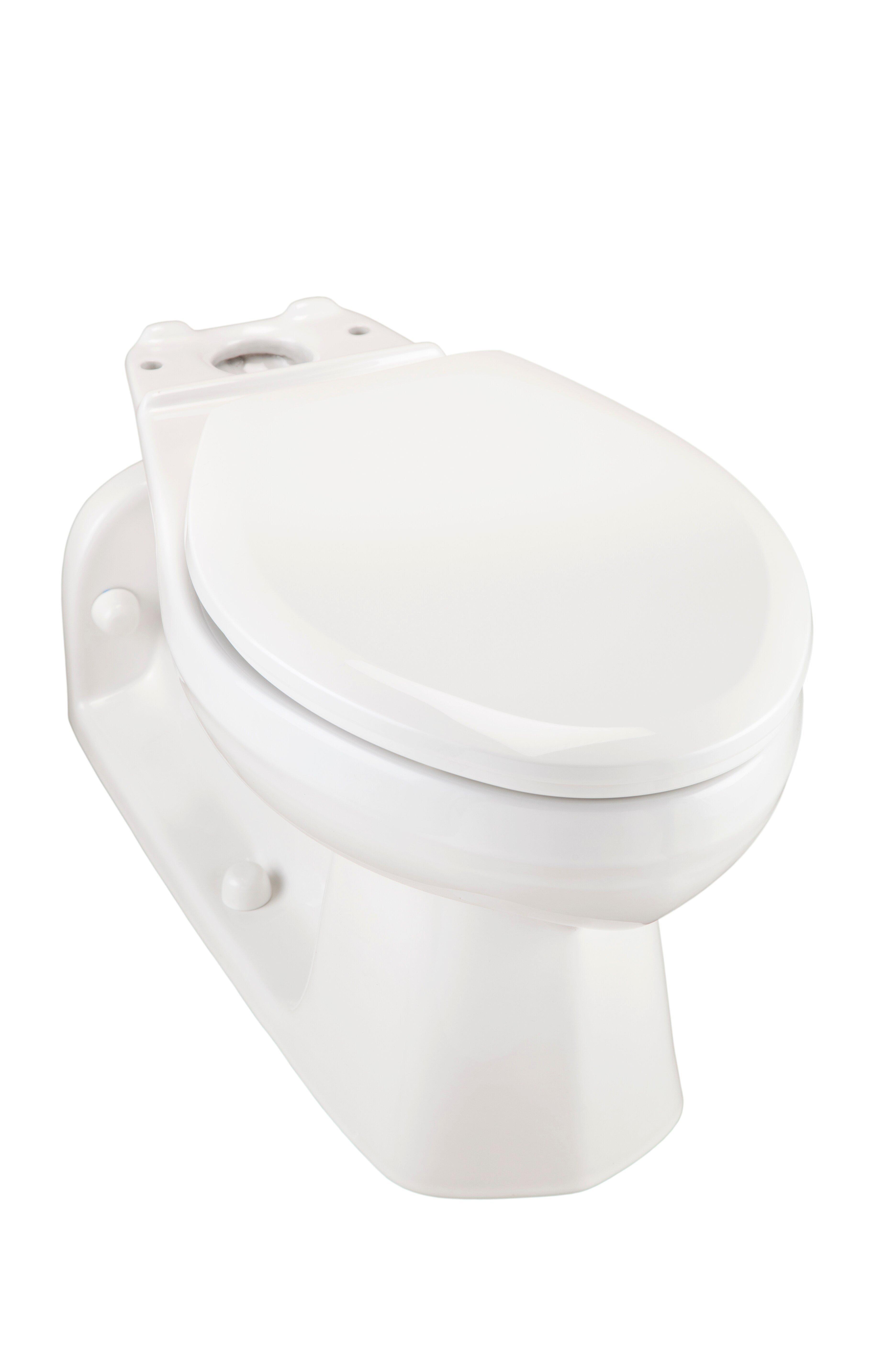 Elongated Toilet Bowl in White 