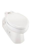Elongated Toilet Bowl in White 