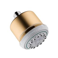 Multi Function Showerhead in Brushed Bronze