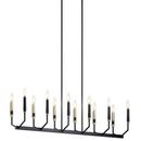 9-1/5 x 48-1/4 in. 60W 12-Light 1-Tier Foyer Light in Black