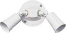 Quorum International White 2 Light Par Holder 
