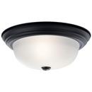 5-1/4 x 13-1/4 in. 60W 2-Light Flush Mount Ceiling Fixture in White