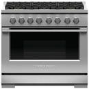 RNGTP 36 LP 6 BRNR *PROFES 