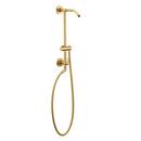 Moen Brushed Gold Single Handle Double Function Shower System 