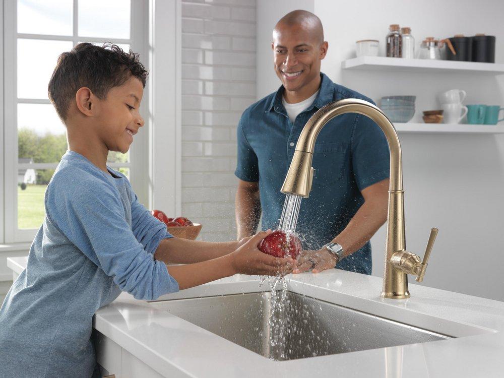 Delta Faucet Lumicoat Champagne Bronze Single Handle Pull Down Kitchen Faucet 