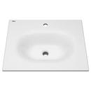 24 x 20 in. Single Bowl Vitreous China Vanity Top in White