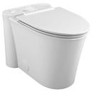 Elongated Toilet Bowl in White