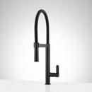 Signature Hardware Matte Black Single Handle Kitchen Faucet 
