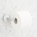 Wall Toilet Tissue Holder in Chrome