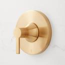 Lever Handle in Brushed Gold